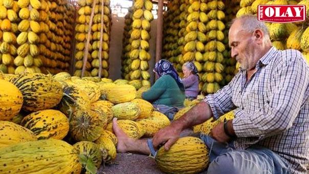 Kırkağaç kavunları askıda