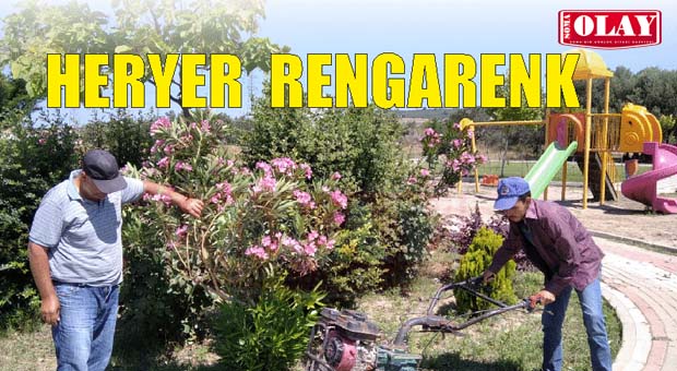SOMA RENGARENK