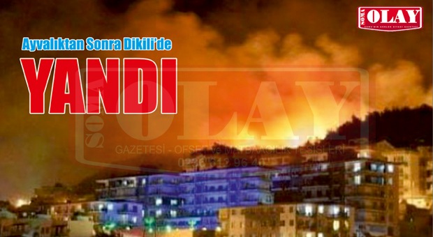 SOMALILARIN İLGİ GÖSTERDİĞİ DİKİLİ’DE YANGIN