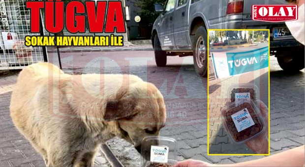 Soma TÜGVA’dan Sokak Hayvanlarına mama