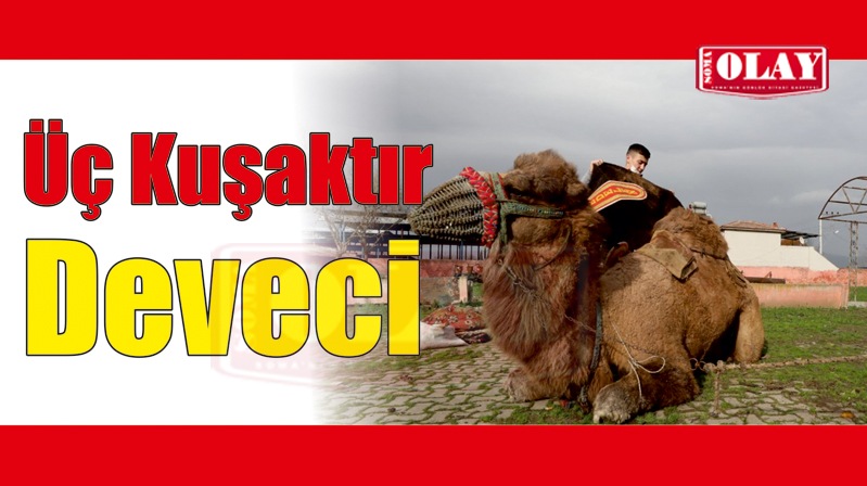 Manisa’da 3 kuşaktır devecilik yapan aile