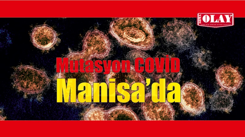 Mutasyonlu virüsün görüldüğü iller arasında Manisa da var 