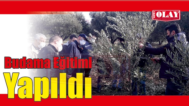 UYGULAMALI BUDAMA EĞİTİMİ VERİLDİ