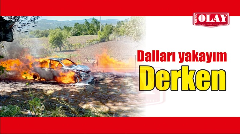 Dalları yakarken Araç alev aldı