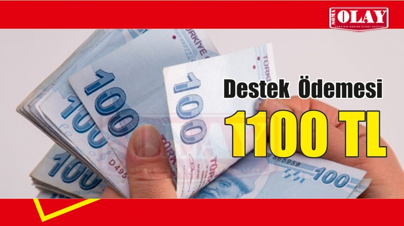 2 milyonu aşkın haneye 1100 lira destek ödemesi yapılacak