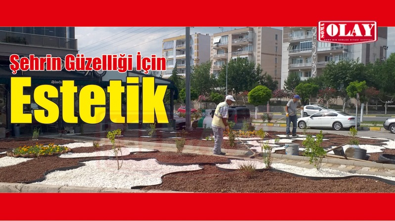 Şehrin Güzelliği İçin Estetik..