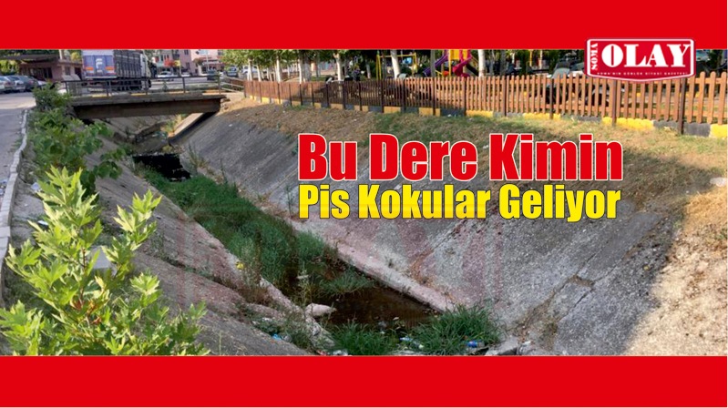 MAHALLE  HALKI DEREDEKİ ATIKLARDAN  RAHATSIZ.