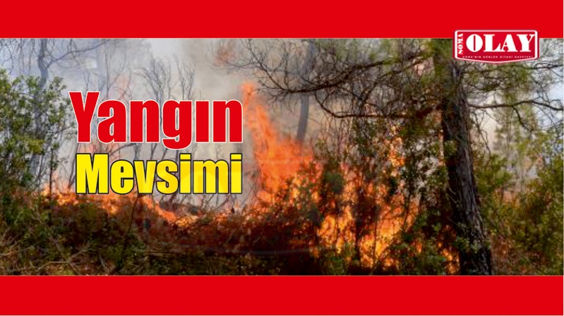 Çerkez Sultaniye Mahallesi’nde Orman yangını