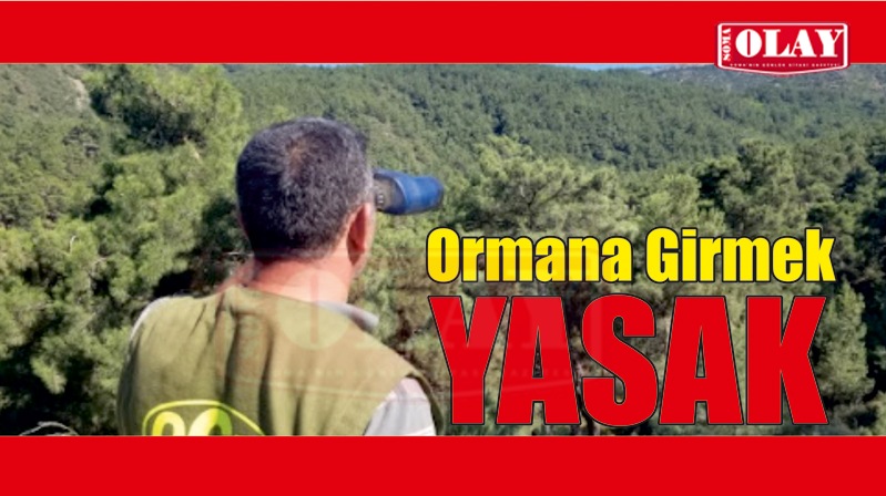 Orman yasağı geldi
