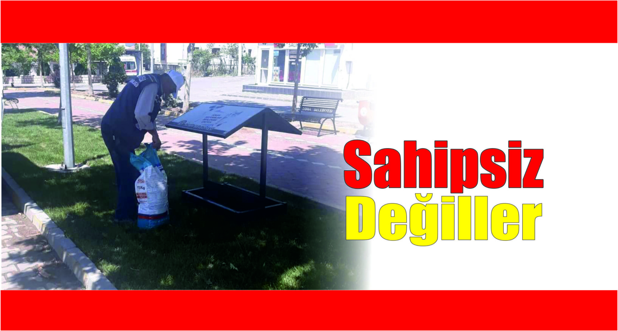 Sokak hayvanları düzenli olarak besleniyor
