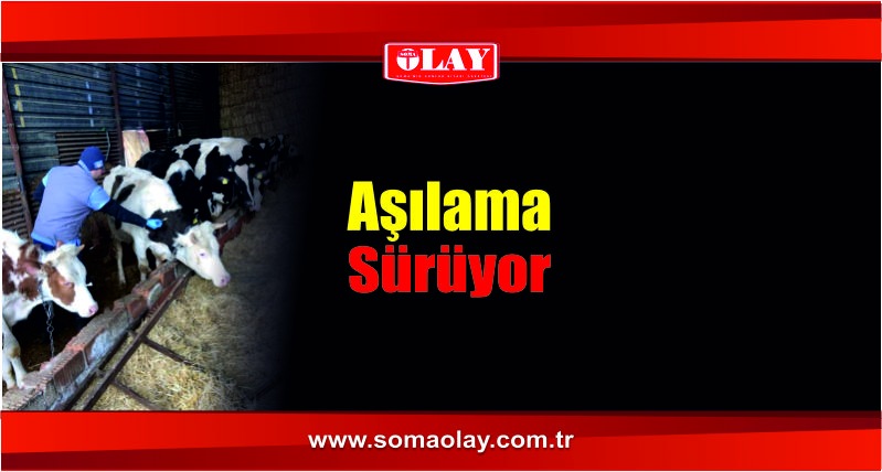 Soma’da şap aşısı mesaisi sürüyor