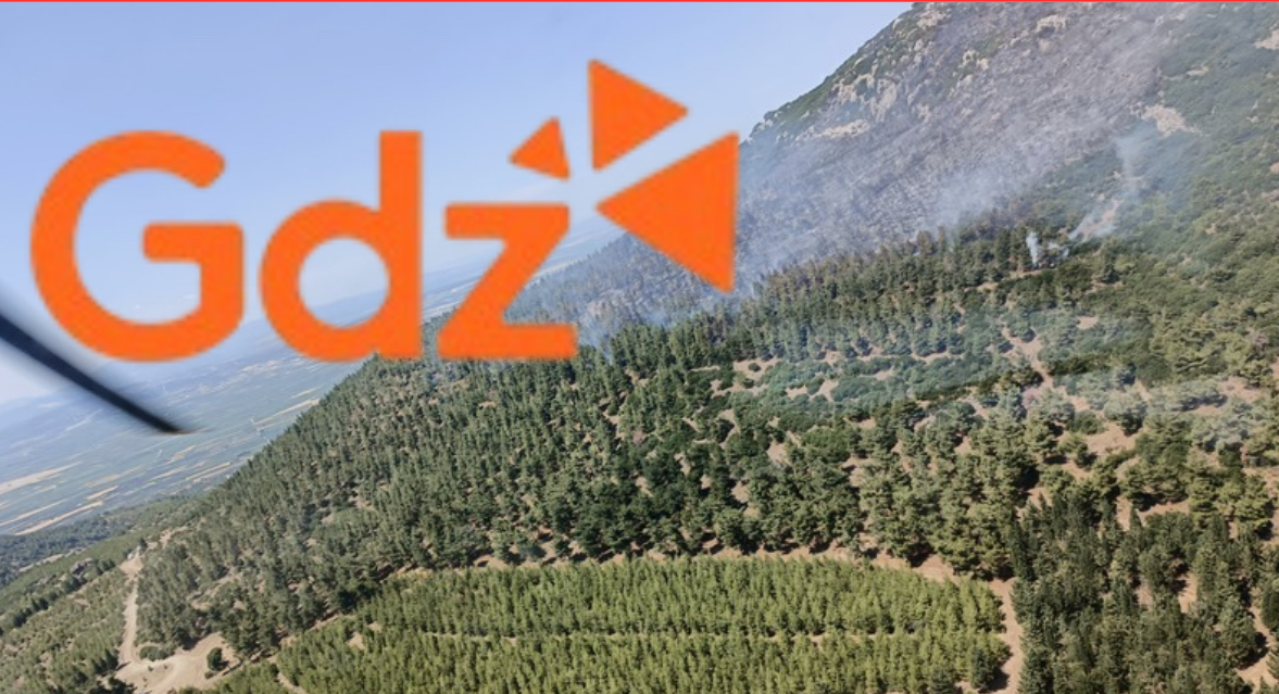 GDZ Elektrik’ten Orman Yangınlarına İlişkin Açıklama: “Elektrik Kaynaklı Olduğuna Dair Somut Bulgular Yok”