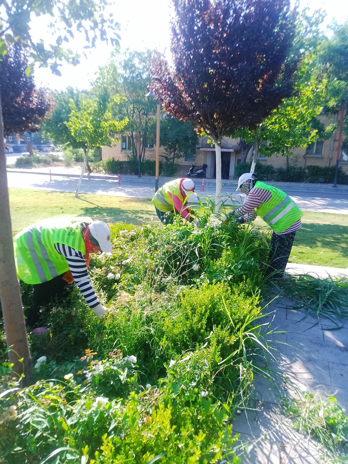 SOMA BELEDİYESİ PARK VE BAHÇELER MÜDÜRLÜĞÜ’NDEN GECE GÜNDÜZ YEŞİL MESAİ